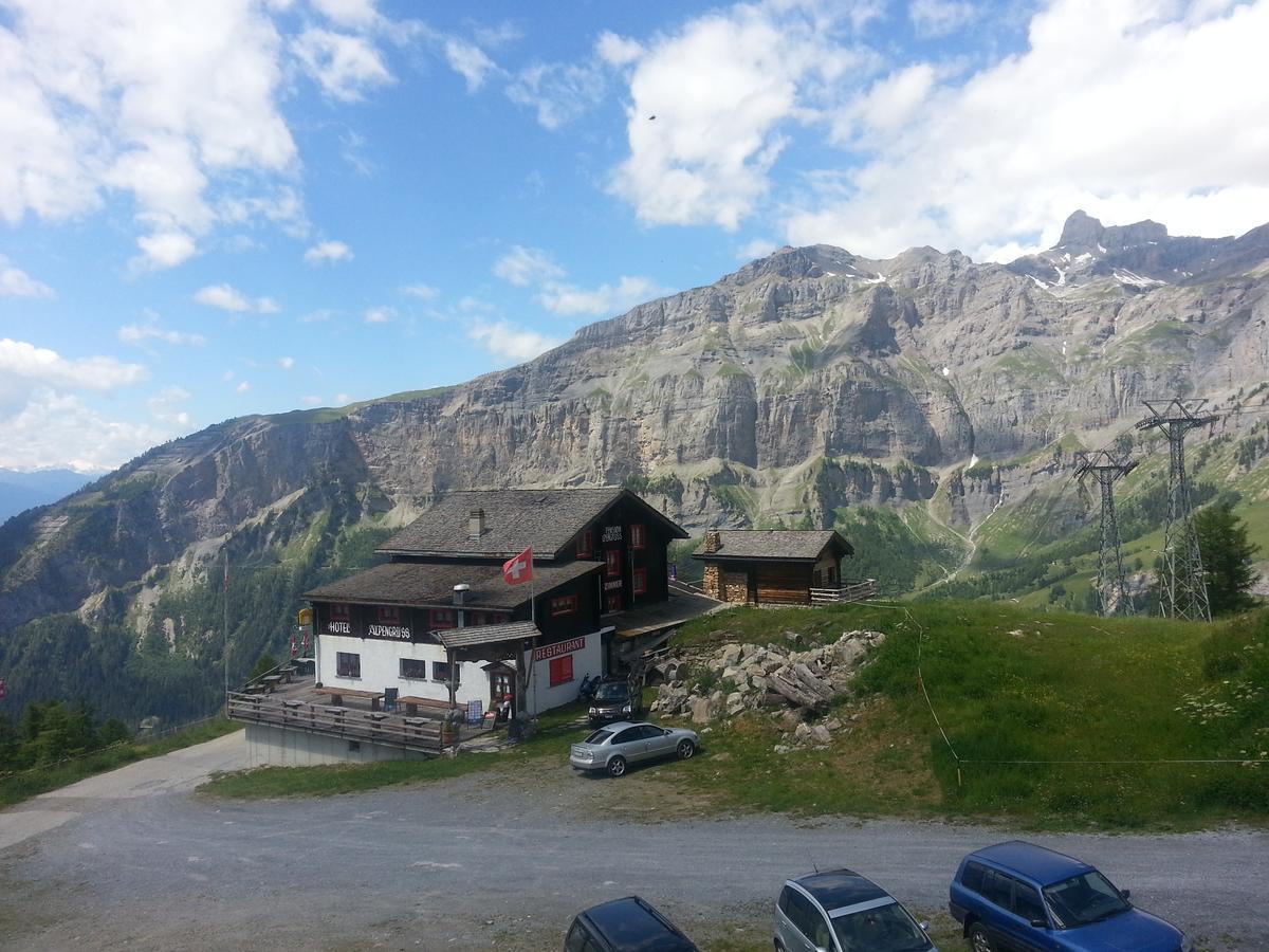 Haus Marmotta *
