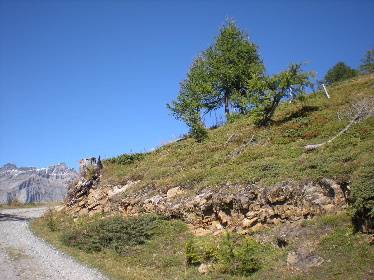 Apartment Haus Marmotta *