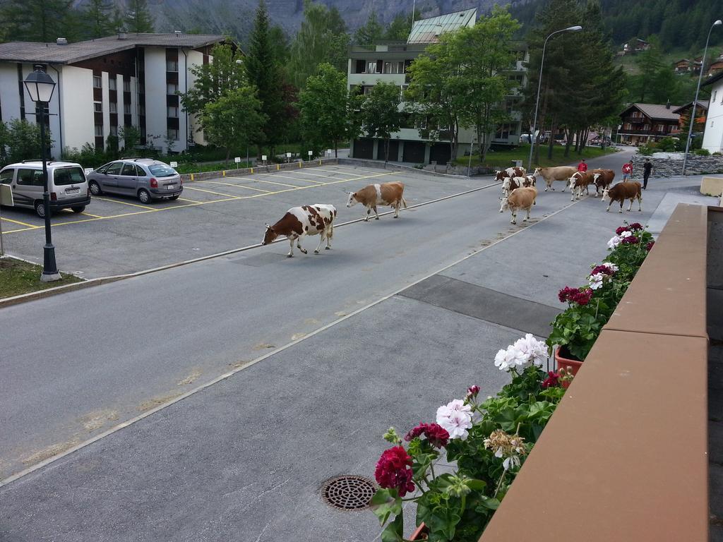 Haus Marmotta *